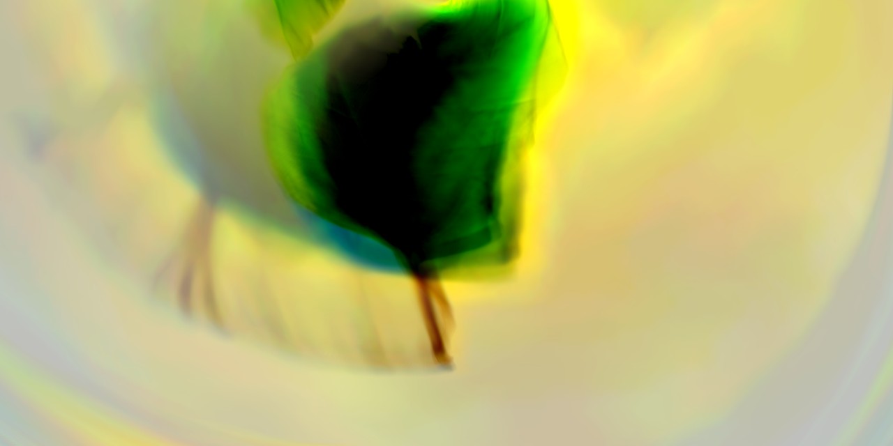 Abstract image of a leaf